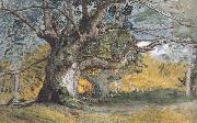Samuel Palmer, Oak Trees,Lullingstone Park